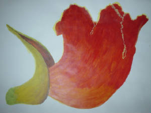 africantulip.jpg