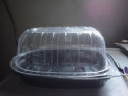 container.jpg