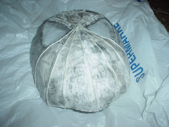 shmask9.jpg