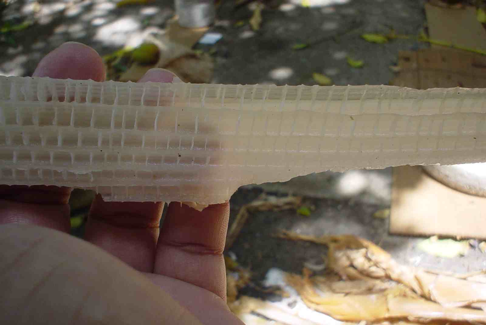 banana5.jpg