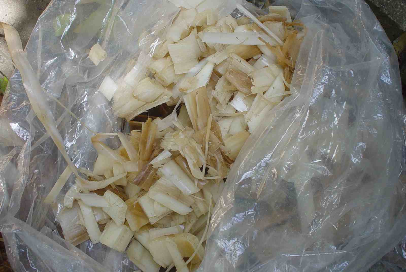 banana6.jpg